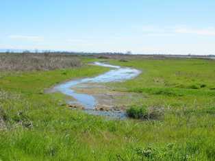 Grassland overview for California Projects