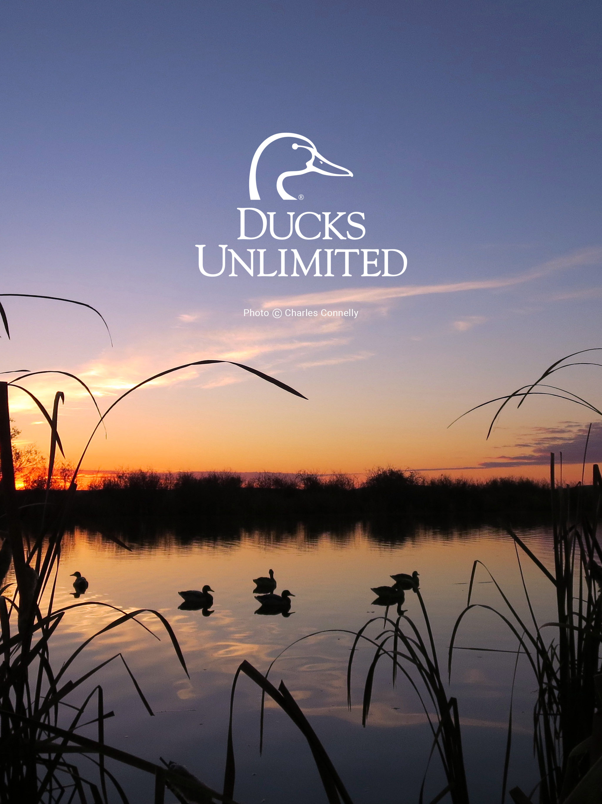 Ducks Unlimited Mobile Wallpaper