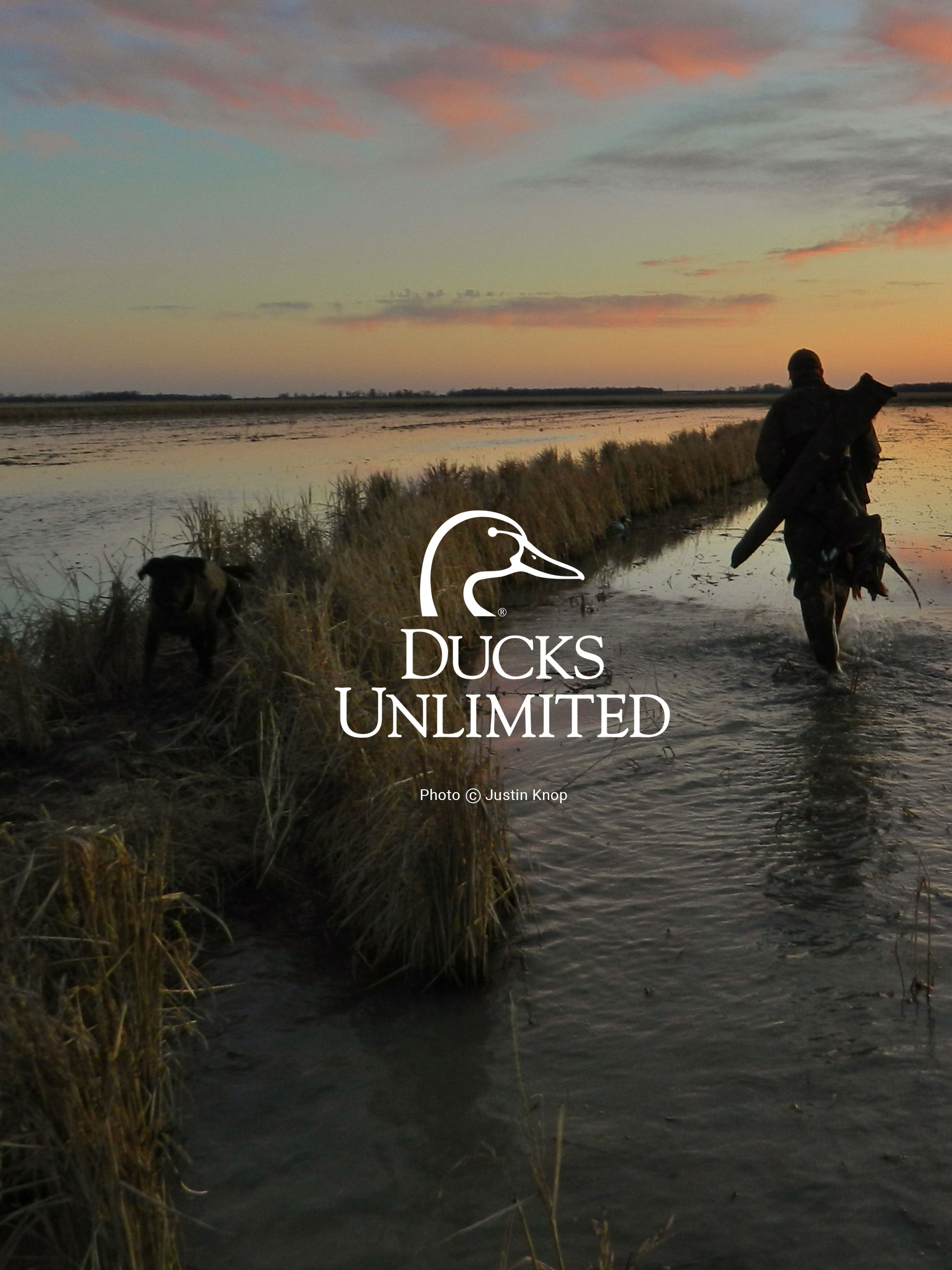 Ducks Unlimited Mobile Wallpaper 