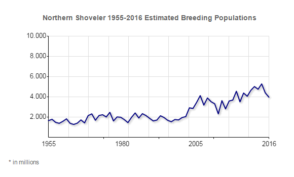 Northern Shoveler Population