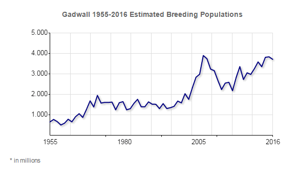 Gadwall Population