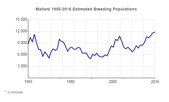 Mallard Population