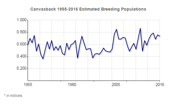 Canvasback Population