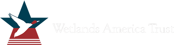 Wetlands America Trust
